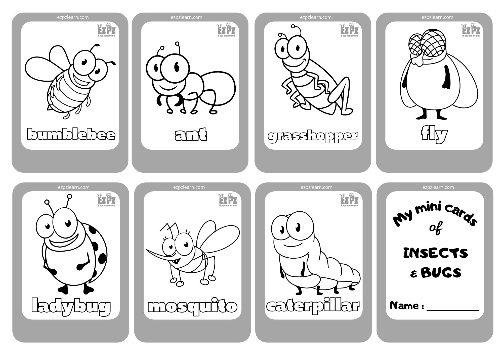 Insects & Bugs Mini Cards Coloring